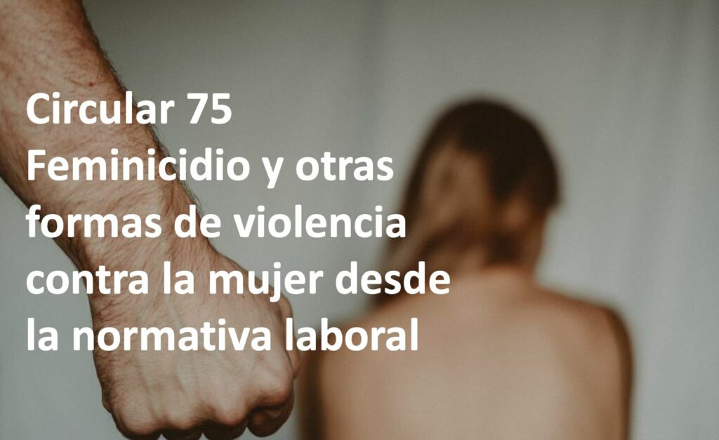 Circular 75 – Feminicidio y otras formas de violencia contra la mujer desde la normativa laboral